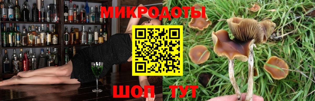 Майский  Галлюциногенные грибы ЛСД  Вход с VPN  где найти   Галлюциногенные грибы прущие грибы 