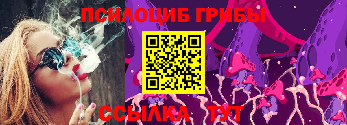 Галлюциногенные грибы прущие грибы Майский